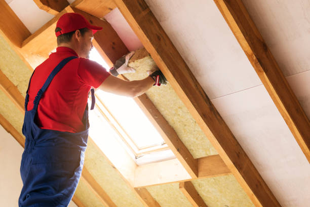 Eco-Friendly or Green Insulation Solutions in Hollins, VA